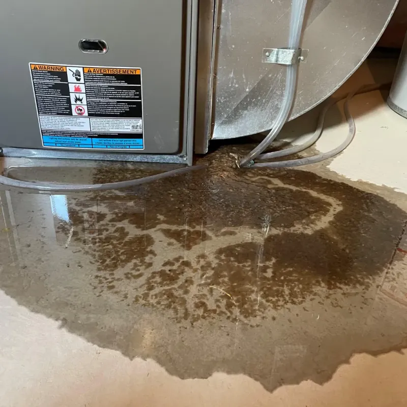 Appliance Leak Cleanup in Belmont, PA